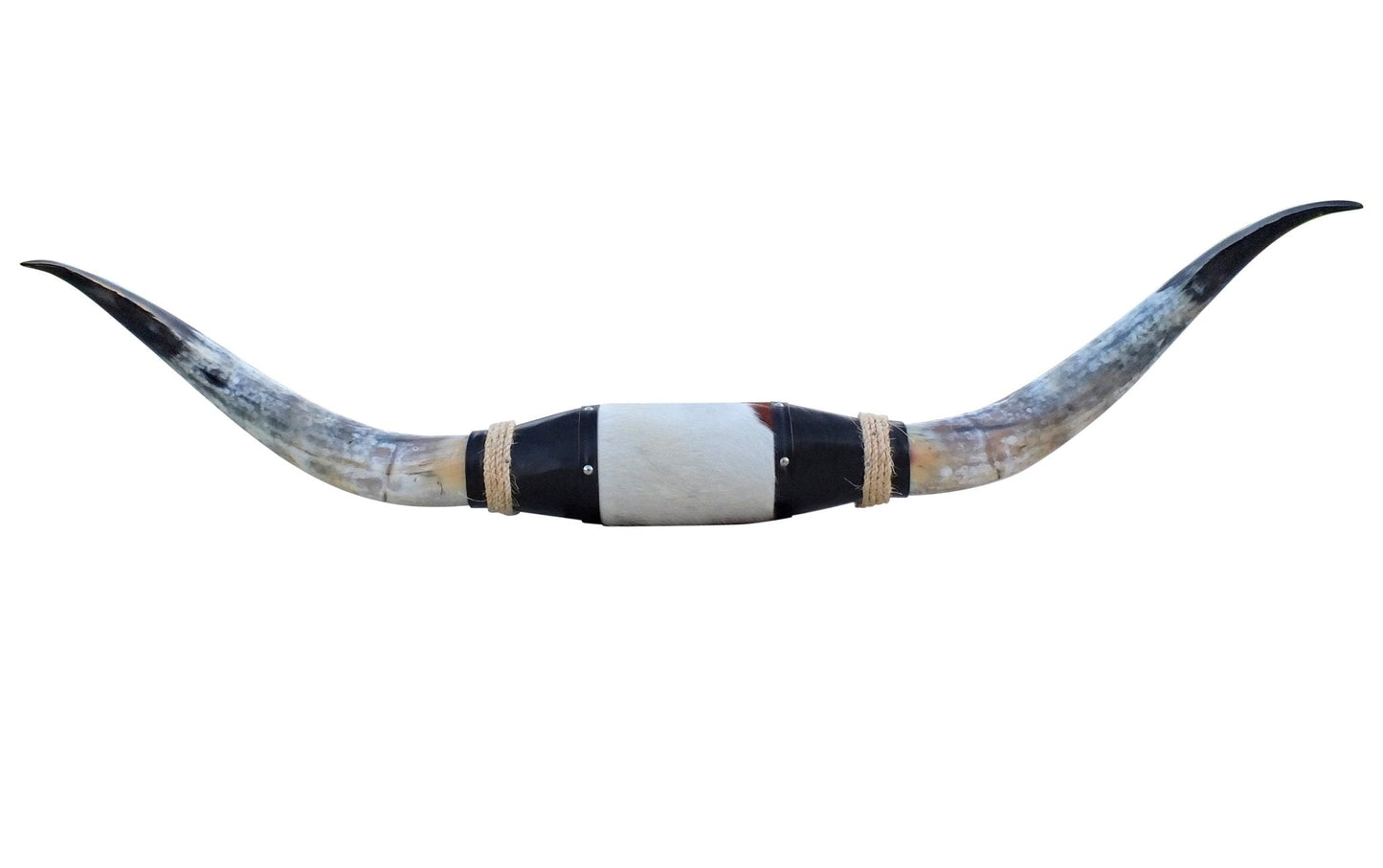 Genuine Mounted Polished Steer Horns - 5' Long - Hides & Leathers - accessories
