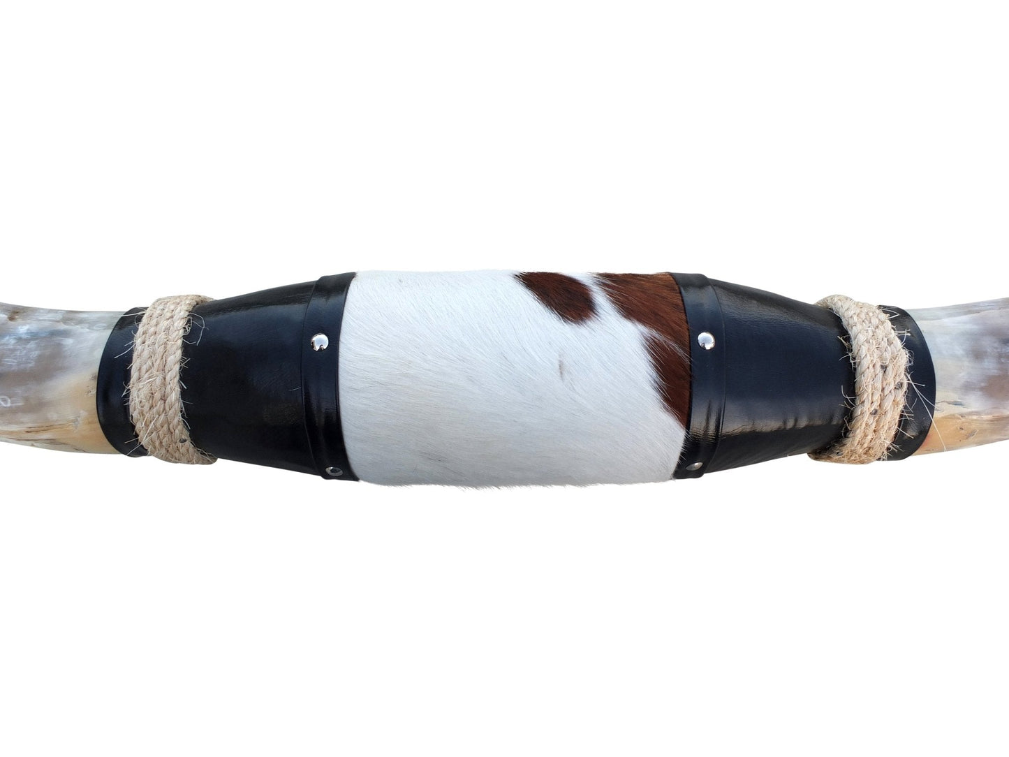 Genuine Mounted Polished Steer Horns - 5' Long - Hides & Leathers - accessories