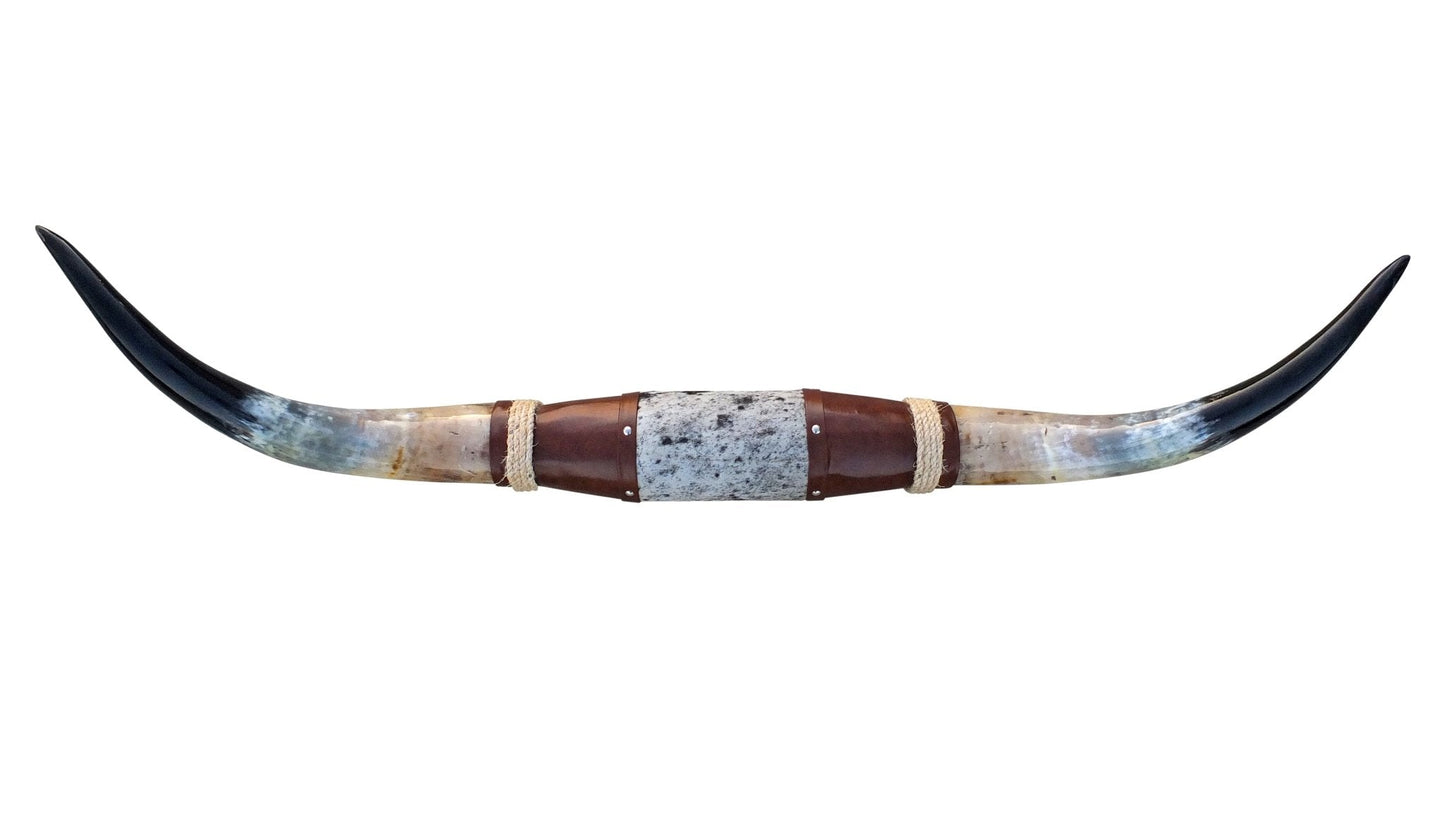 Genuine Mounted Polished Steer Horns - 5' Long - Hides & Leathers - accessories