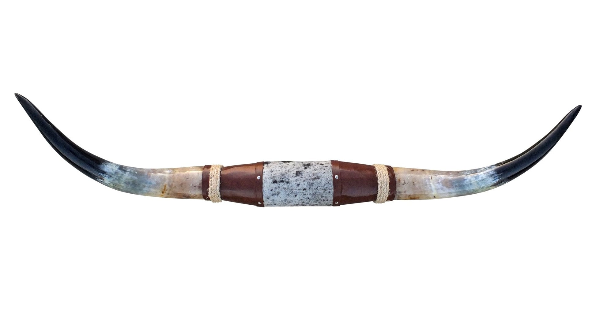 Genuine Mounted Polished Steer Horns - 5' Long - Hides & Leathers - accessories