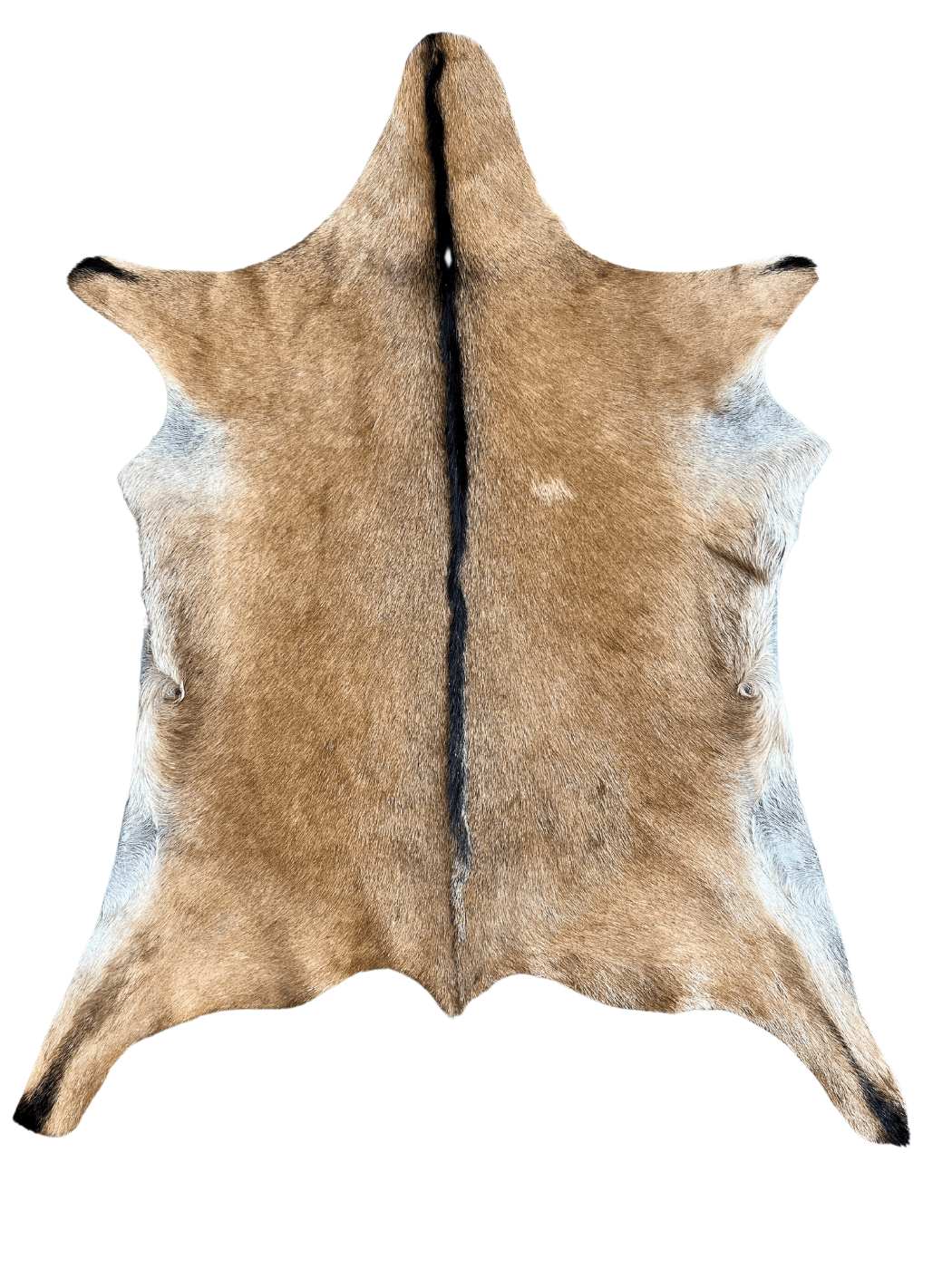 Goat Skin Rug - Brown - Hides & Leathers - Goat Skin