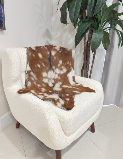 Goat Skin Rug - Brown & White - Hides & Leathers - Goat Skin