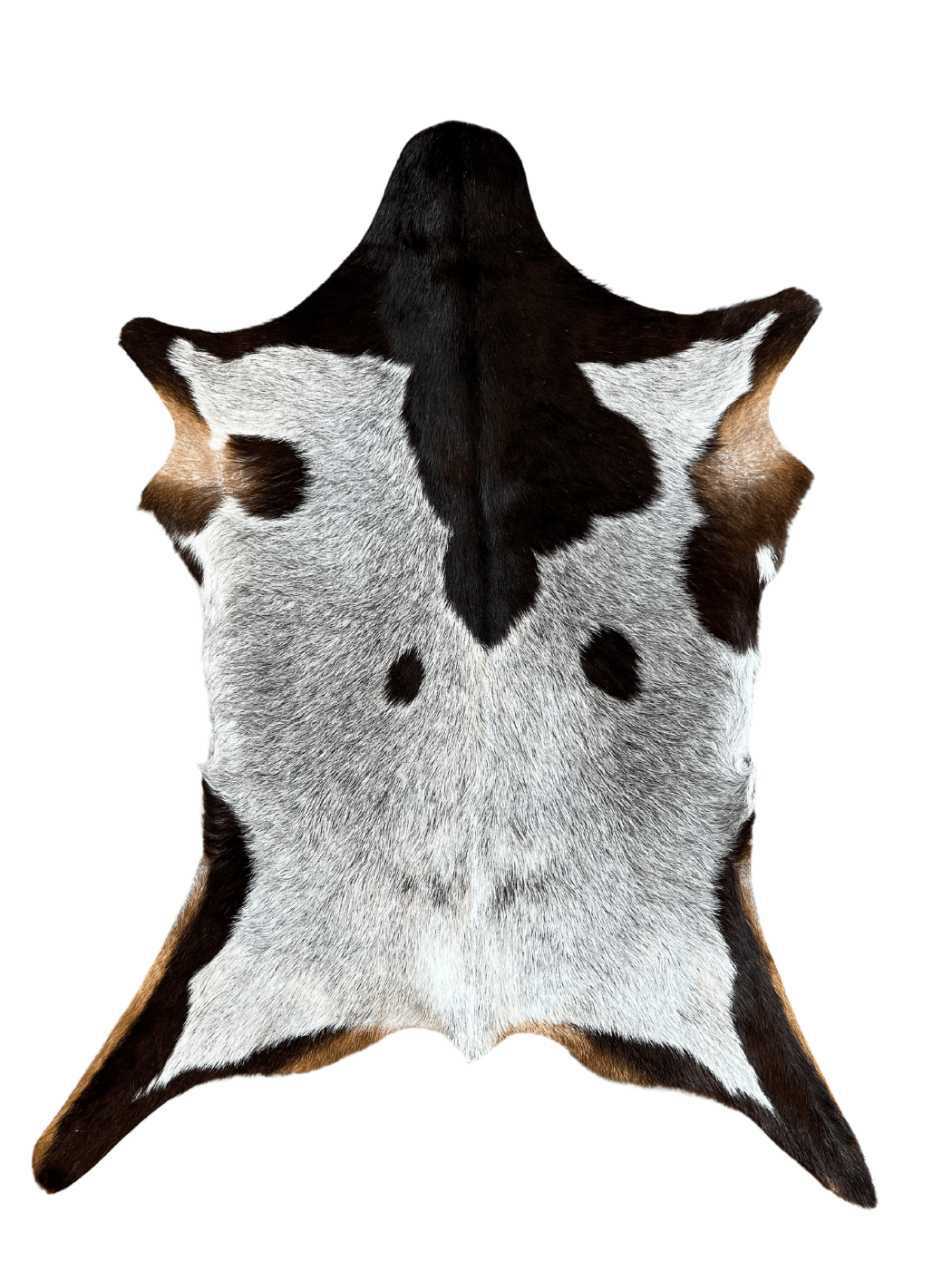 Goat Skin Rug - Tricolor - Hides & Leathers - Goat Skin