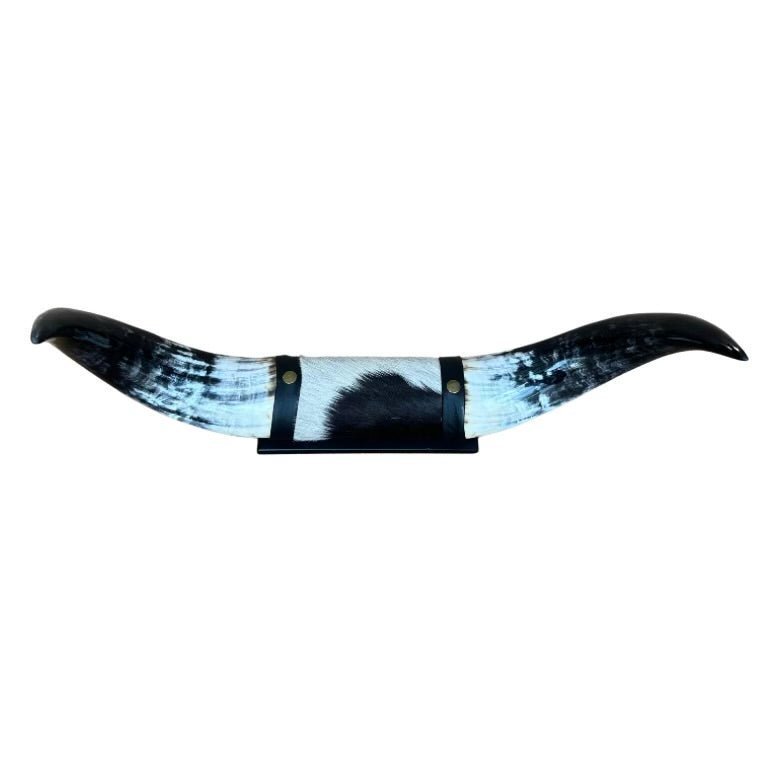 Mounted Polished Cow Horn Black and White 3’ - Hides & Leathers - 