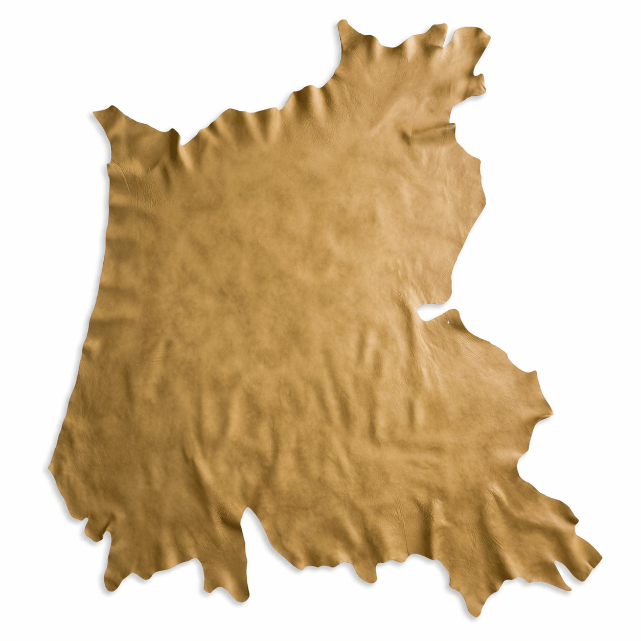 Naked American Steer Hide - Hides & Leathers - Upholstery