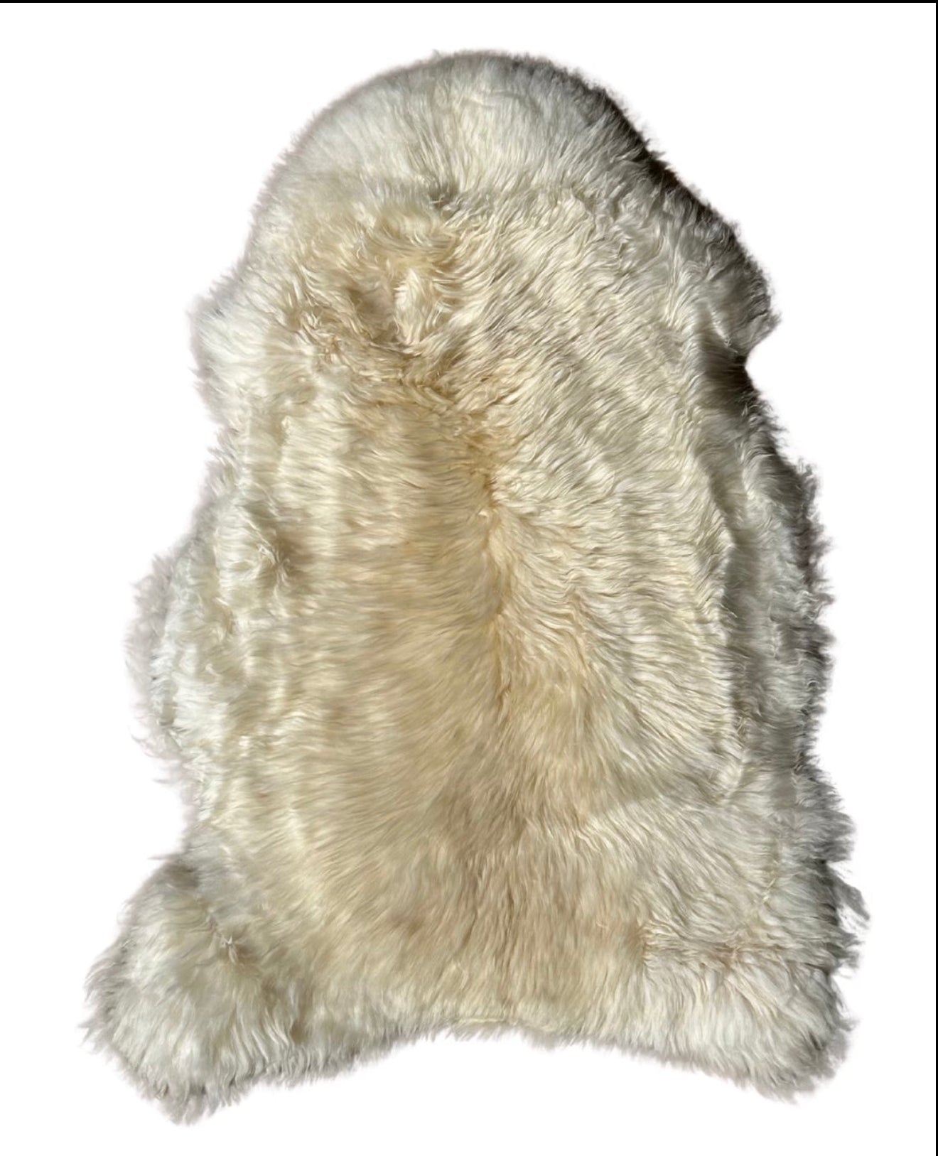 Natural Ivory Plush Sheepskin Rug (Large) - Hides & Leathers - Sheep / Lamb
