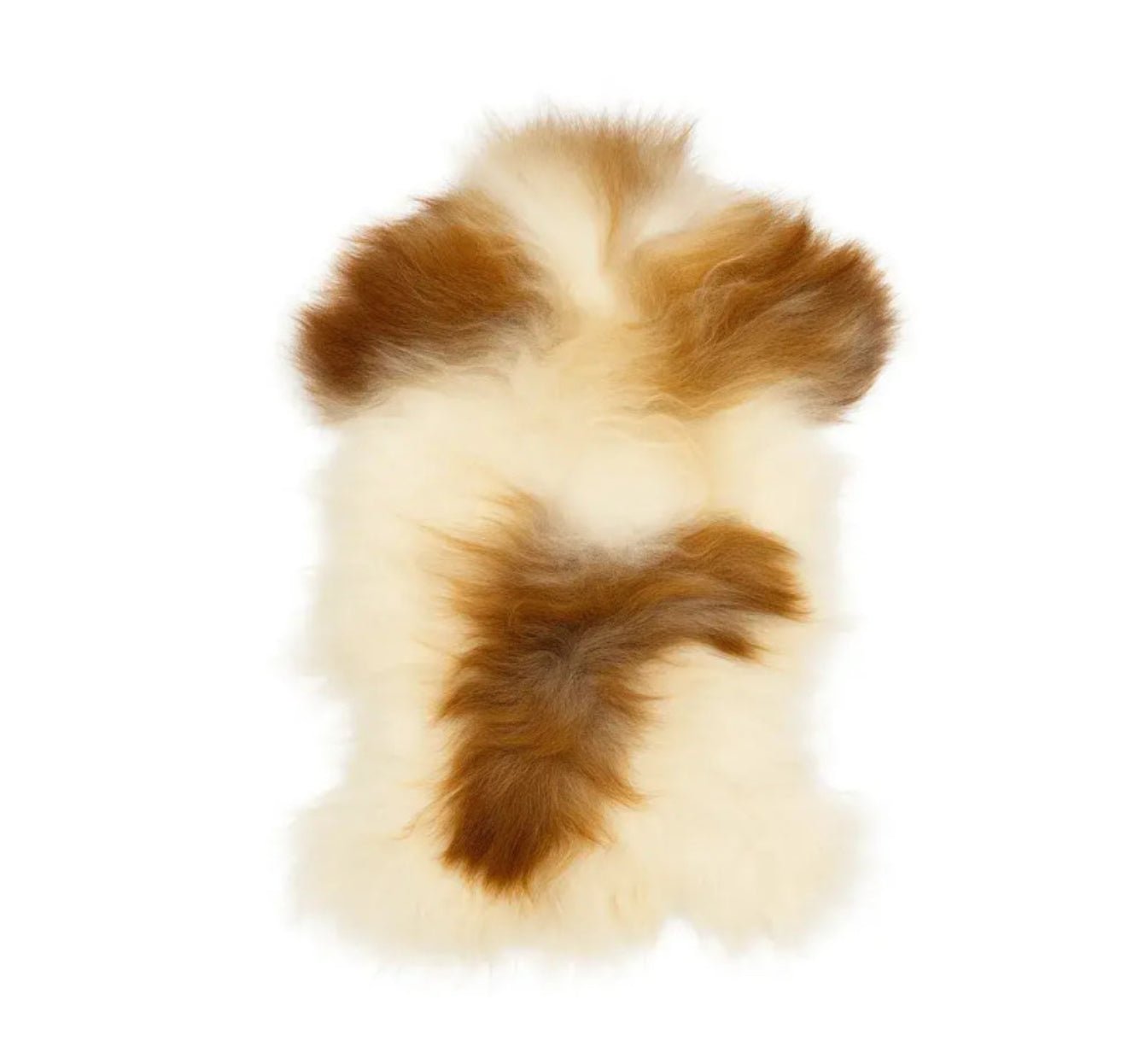 Norwegian Viking Heritage Sheepskin Throw | Spotted Brown & White Long Wool – 4' X 2.5' Feet - Hides & Leathers - Sheep / Lamb