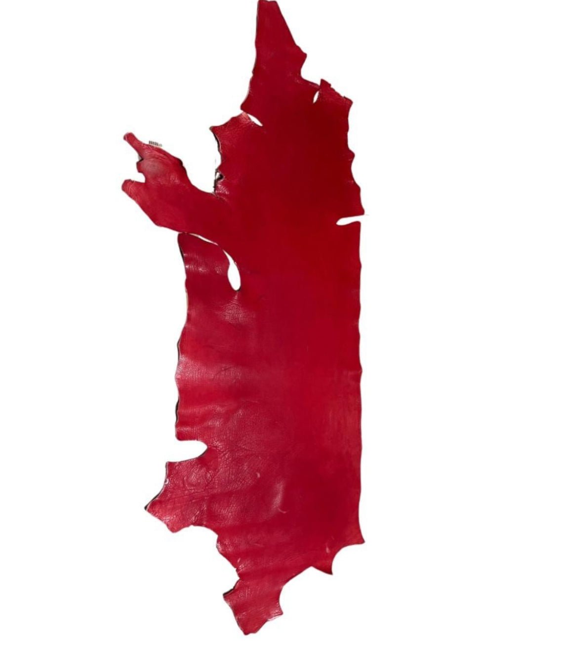 Painted bison leather sides - Hides & Leathers - Leather