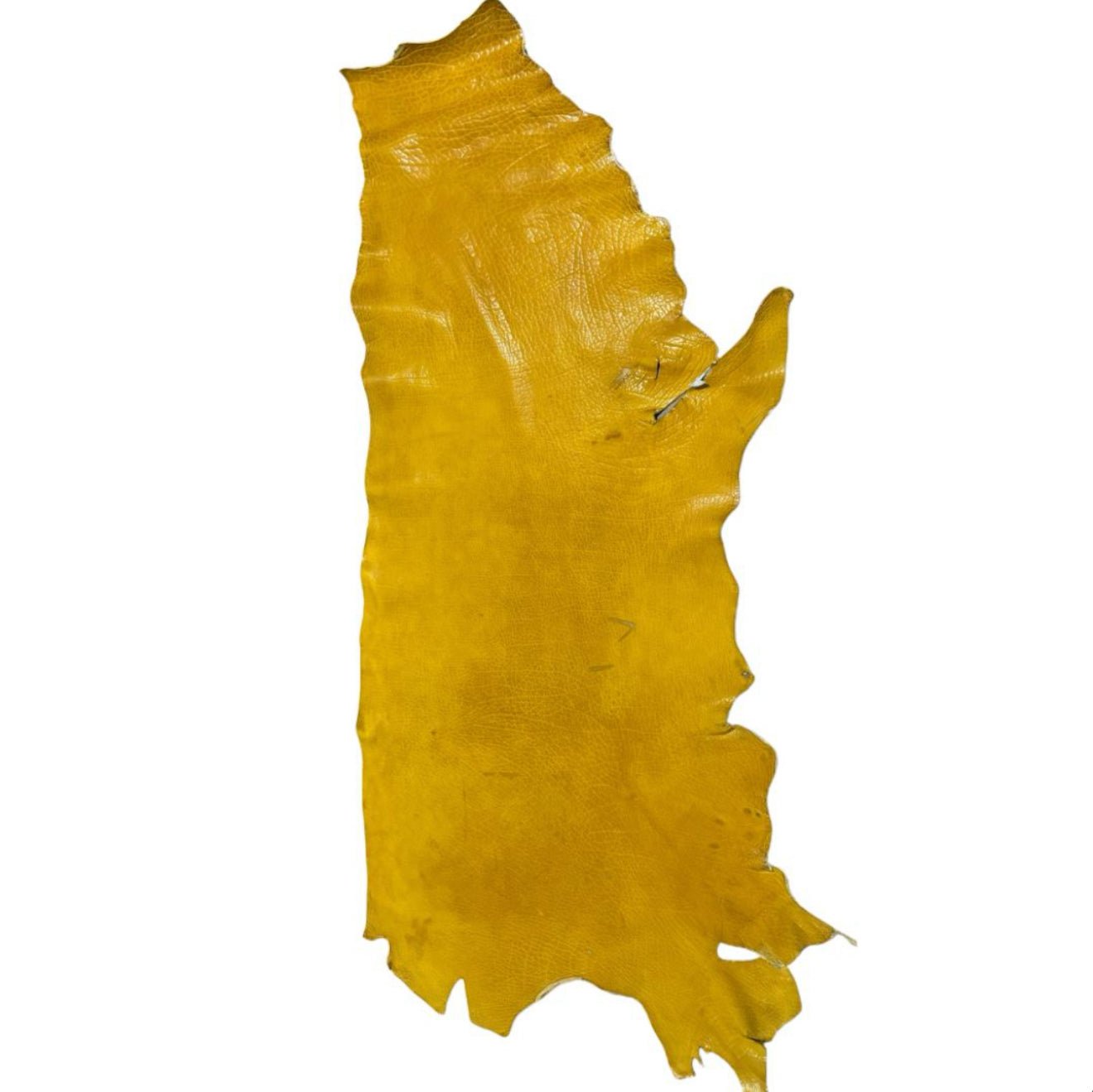 Painted bison leather sides - Hides & Leathers - Leather