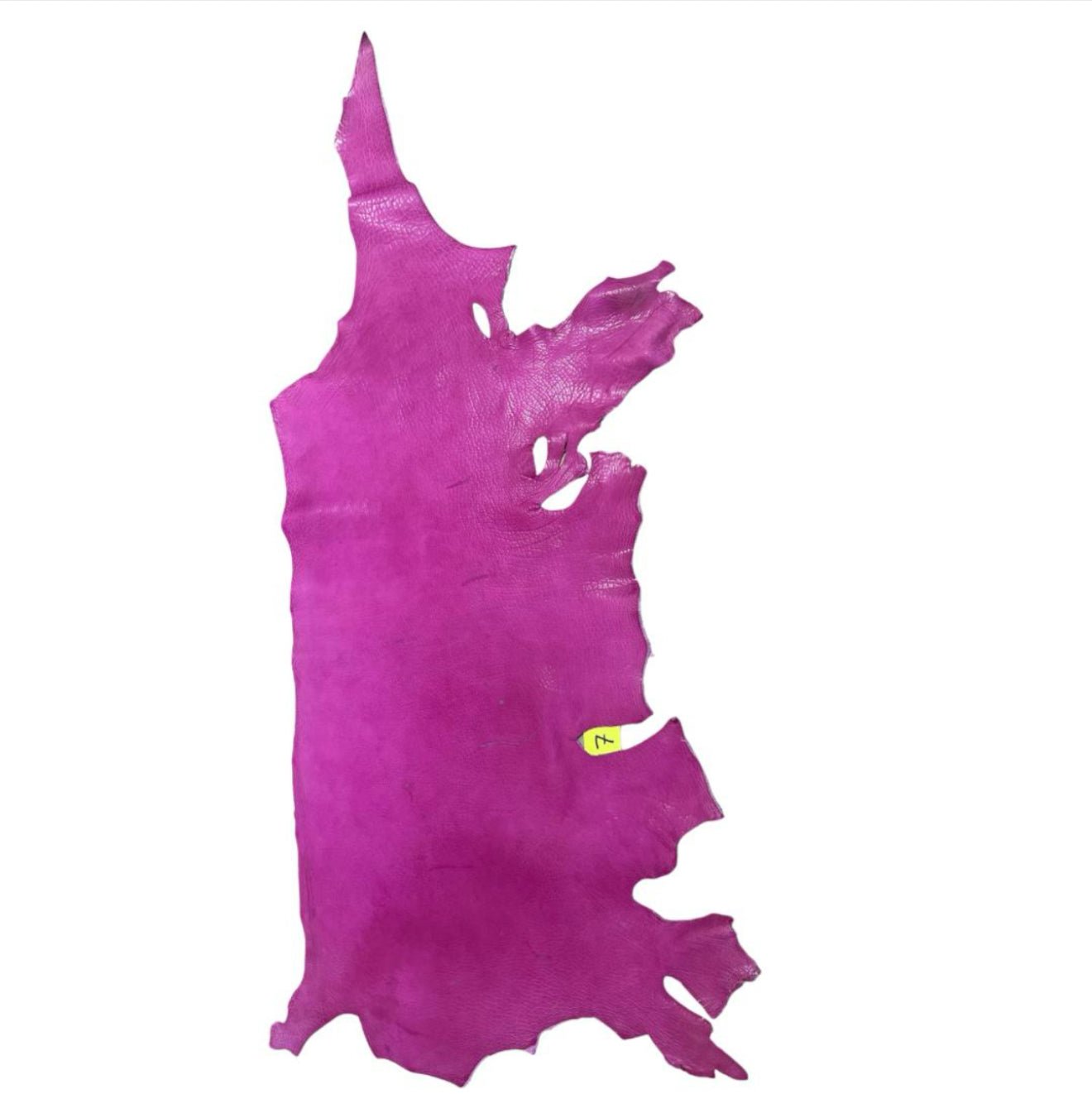 Painted bison leather sides - Hides & Leathers - Leather