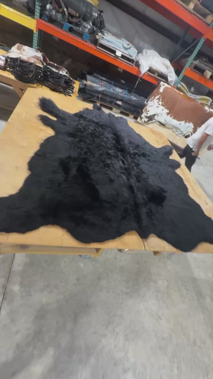 Buffalo/Bison Hair-On Hide Rug Large | Black Dyed First-Grade