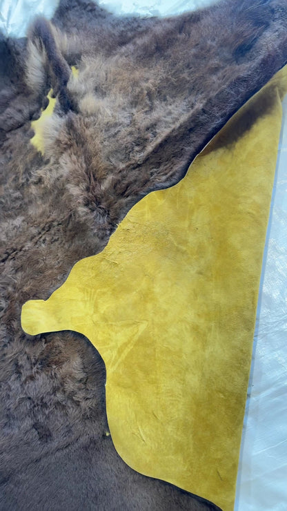 American Bison Hide Rug - Second Grade | 7'x6'