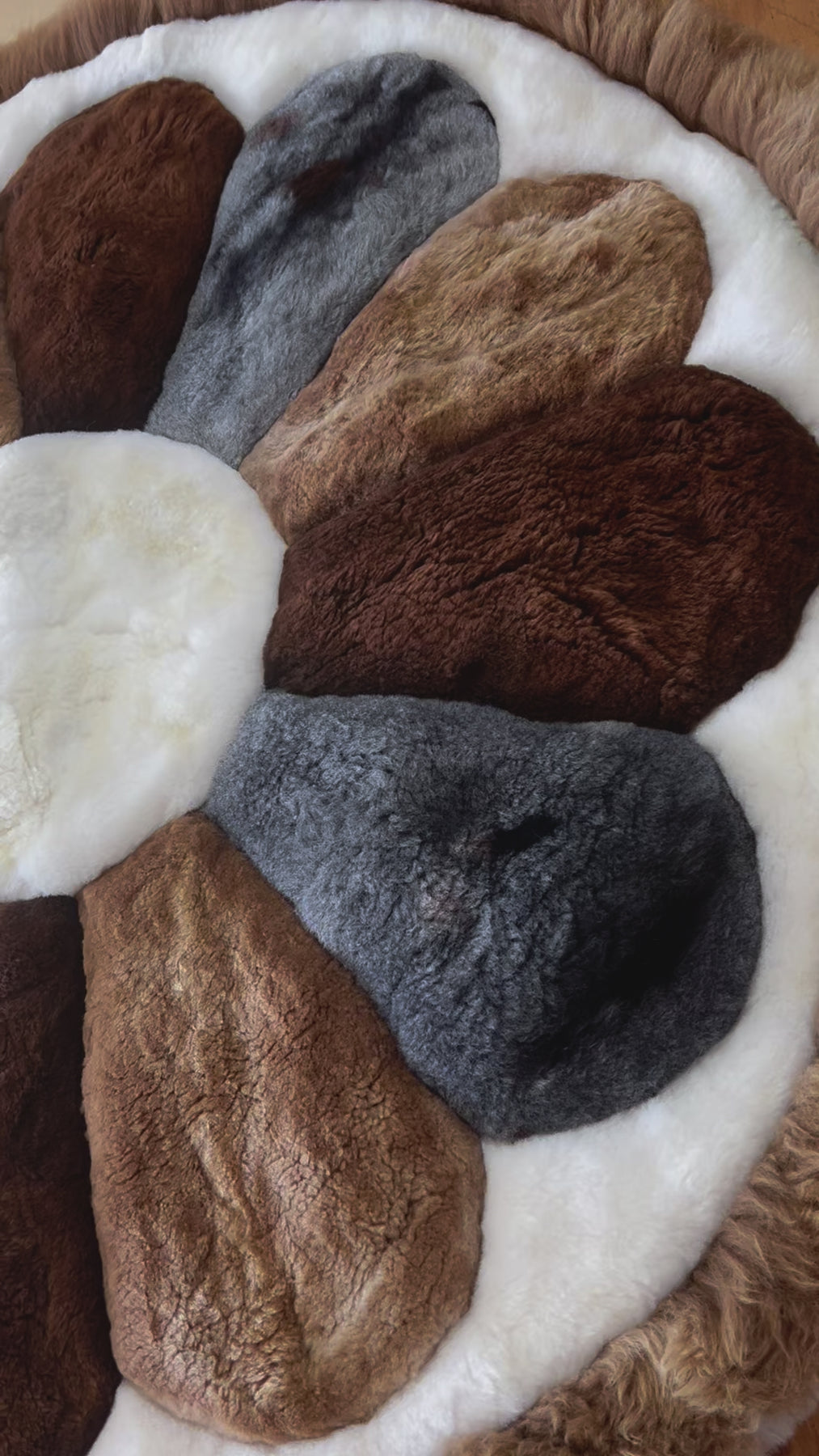 Alpaca Area Rugs Round Flower Brown Border Hides & Leathers