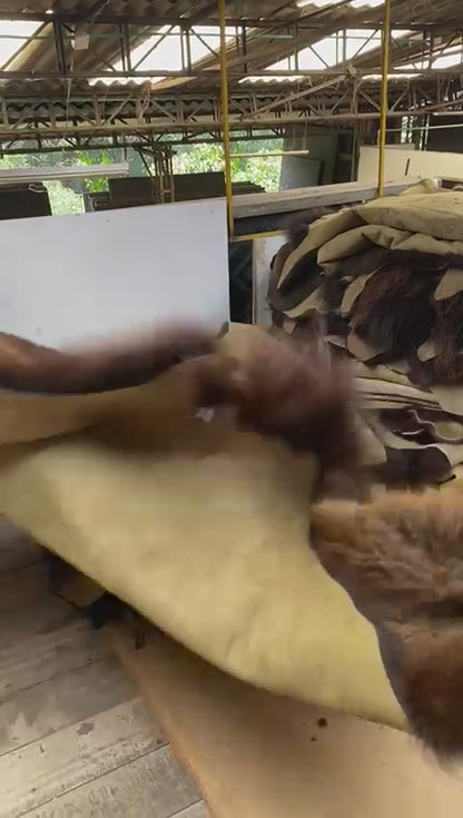 Buffalo/Bison Hair-On Hide Rug Extra Large | Classic First-Grade