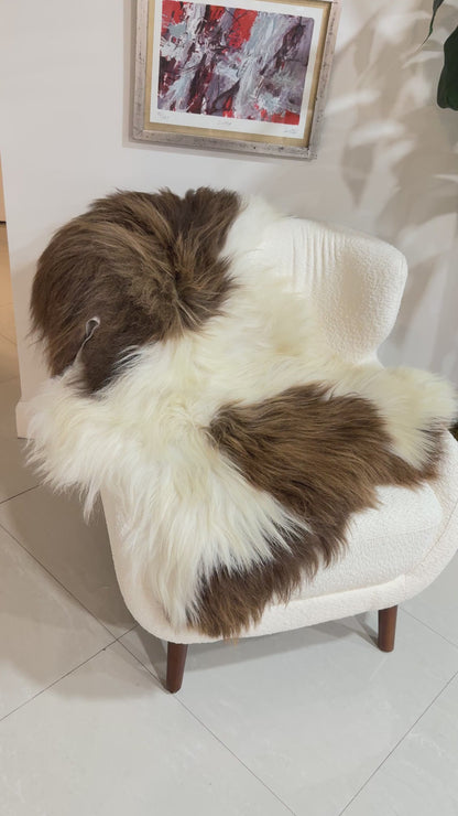 Norwegian Sheepskin Throw - Dark Brown and White | Long-Hair 4' x 2.5'
