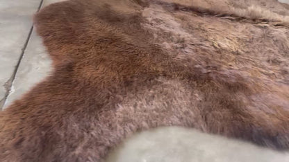 American Bison Hide Rug - Good Second Grade | 7'x6'