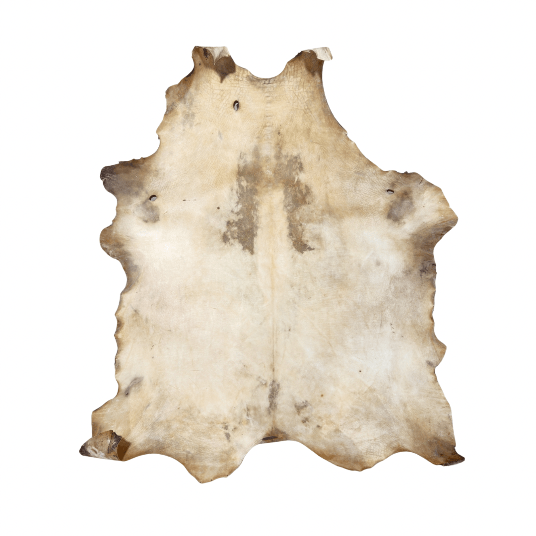 Rawhide - Buffalo / Bison - Hides & Leathers - 