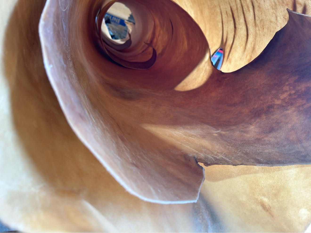 Rawhide - Buffalo / Bison second grade - Hides & Leathers - 