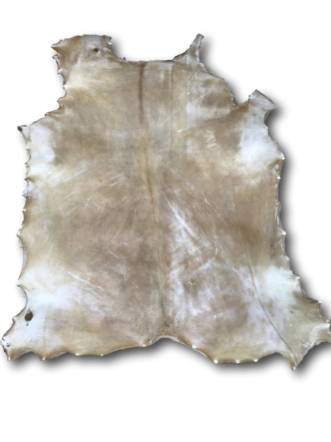 Rawhide - Cow - Extra Heavy - Hides & Leathers - 