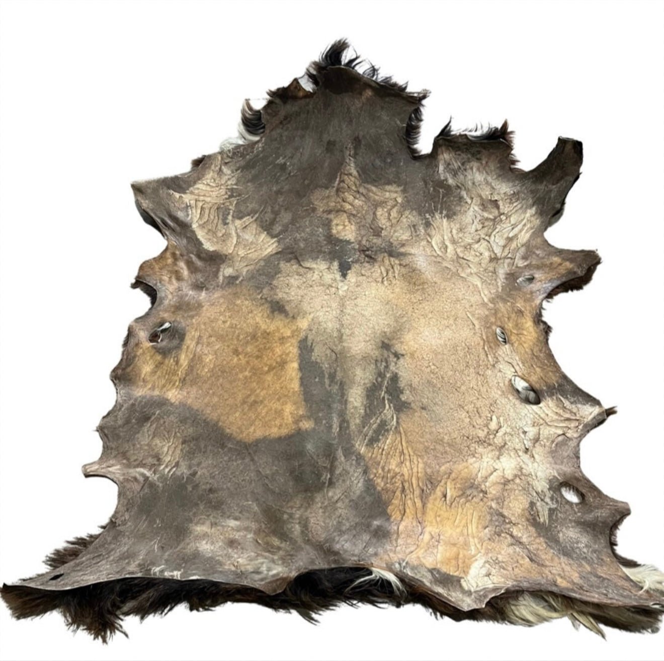 Rawhide - Goat - Hair on - Hides & Leathers - 