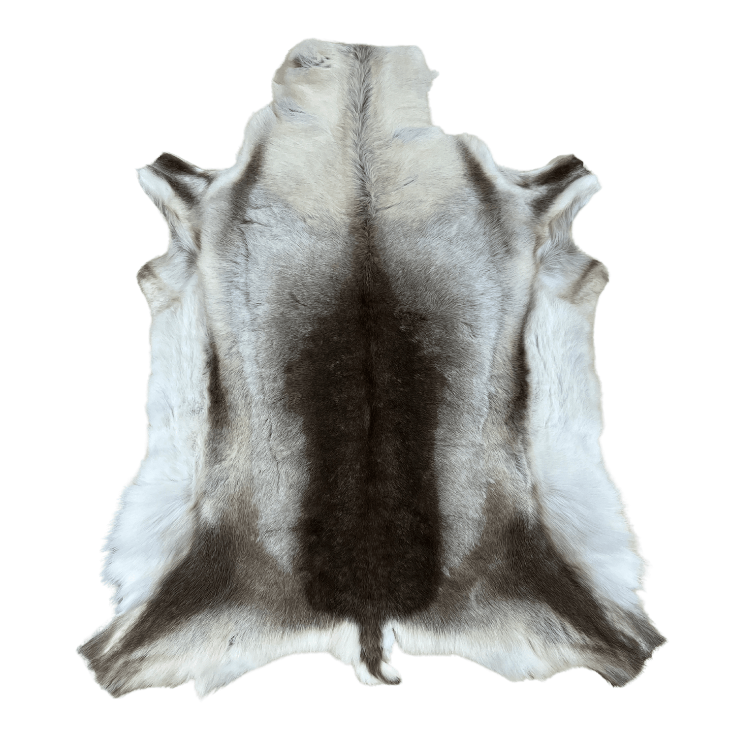 Reindeer Hide indoor Quality - Hides & Leathers - Reindeer Hides