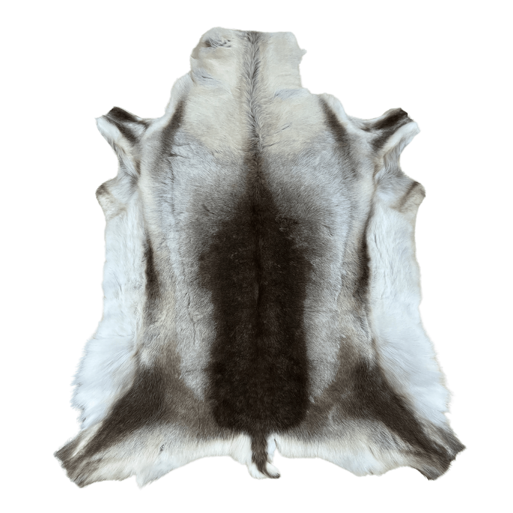 Reindeer Hide indoor Quality - Hides & Leathers - Reindeer Hides