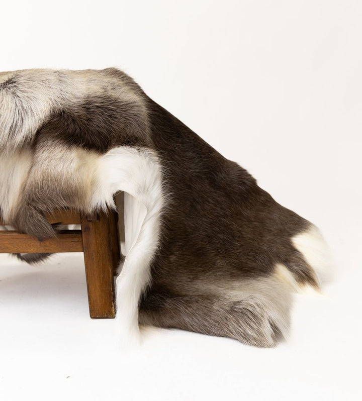 Reindeer Hide indoor Quality - Hides & Leathers - Reindeer Hides