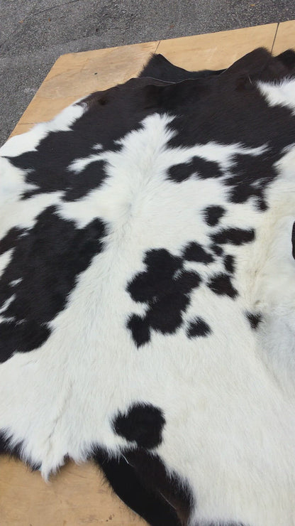 Hair On Calf Hide - Black & White
