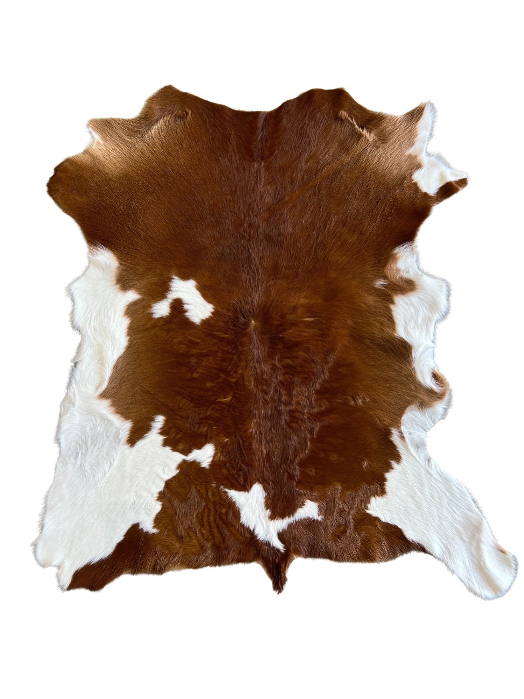Calf Hide - Brown and White - Hides & Leather Store - By Trahide - Calf Hide