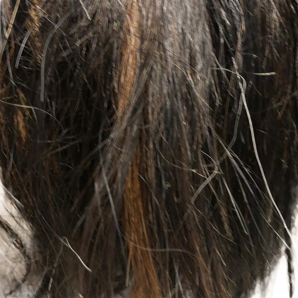 Horse Tail Hair - Dark Brown - Hides & Leathers - 