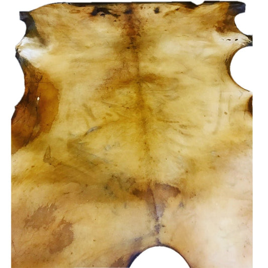 Rawhide - Elk - Hides & Leathers - Rawhide